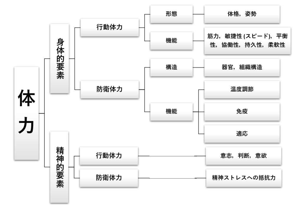 体力の身体的要素について説明をしている画像。