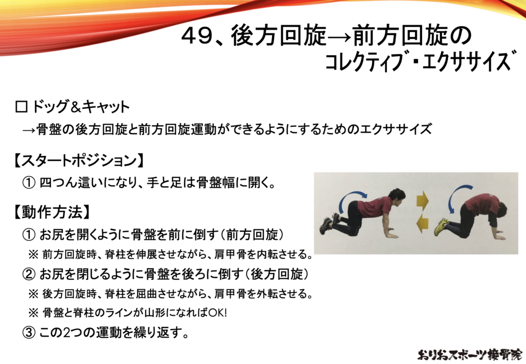 腰痛の改善ができるエクササイズについて説明をしている写真。
